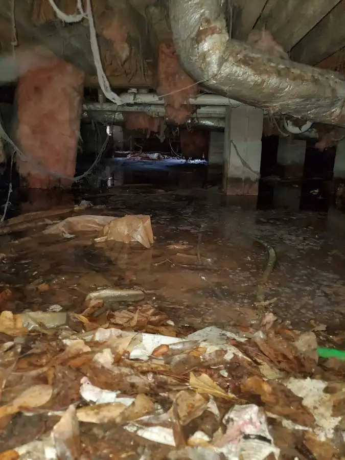 Crawl space flood assessment for Leak Detection & Repair in Durant